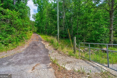 6439 S Chestatee, Dahlonega, GA 30533 - photo 5