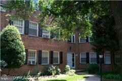 5004 Columbia Pike unit 5, Arlington, VA 22204 - photo 4