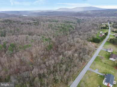 14109 Maple Ridge Rd, Hancock, MD 21750 - photo 6