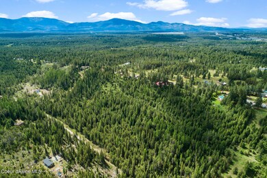 NKA E Forest View Dr, Athol, ID 83801 - photo 6