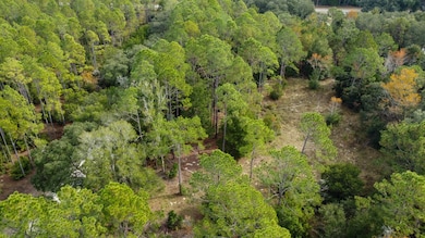 0 NW 30th St unit 796107, Chiefland, FL 32626 - photo 6