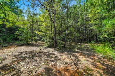 00 Sleepy Hollow Trail, Powder Springs, GA 30127 - photo 2