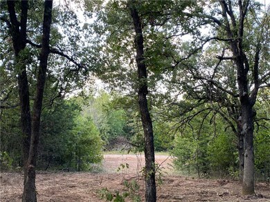 335001 Matlock Farms, McLoud, OK 74851 - photo 5