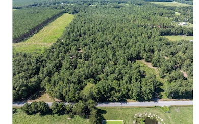 TBD 216th St, O'Brien, FL 32071 - photo 3