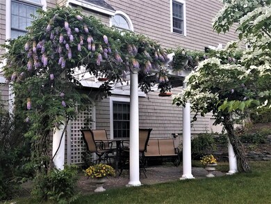 wisteria