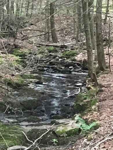 229-15 Turkey Shoot Rd, Acworth, NH 03601 - photo 3