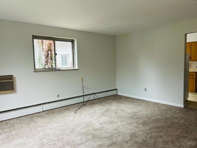 808 Schiff Ave, Cincinnati, OH 45205 - photo 2
