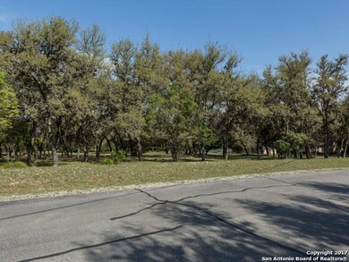 8401 Oak Thicket, San Antonio, TX 78255 - photo 2