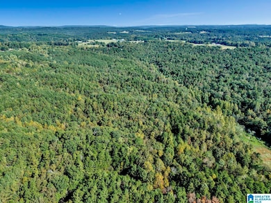 00 County Highway 27 unit 6, Oneonta, AL 35121 - photo 2