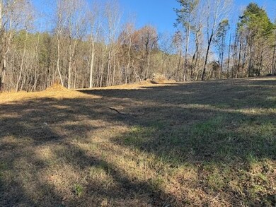 22 Moon Cir, Spring City, TN 37381 - photo 6