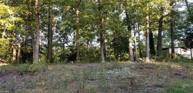 3157 Montclair Ct, Union, NC 27205 - photo 4