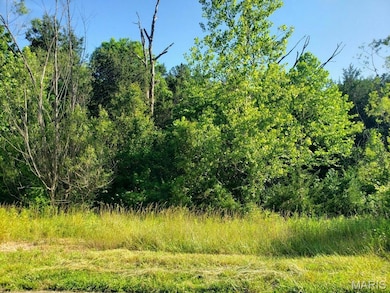 3512 Buttermilk Dr, Valle Township, MO 63028 - photo 5