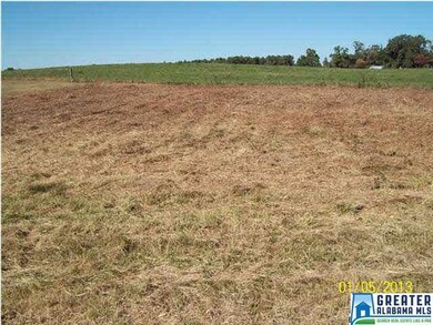 LARGE LEVEL LOT