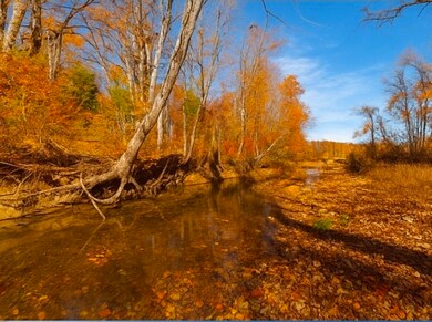 0 Old Highway 48 unit RTC3045255, Clarksville, TN 37040 - photo 3