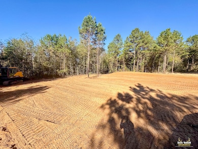 12068 Fm 130, Hughes Springs, TX 75656 - photo 4