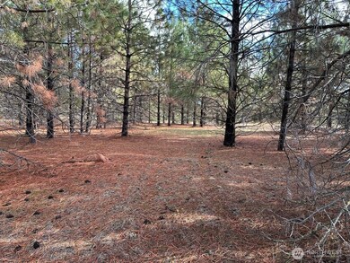 3 Garrison Rd, Goldendale, WA 98620 - photo 5