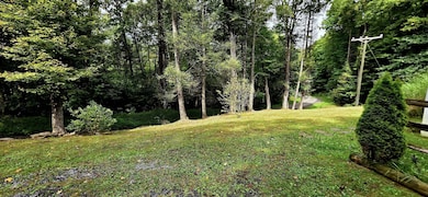 2984 Runa Rd, Mount Nebo, WV 26679 - photo 4