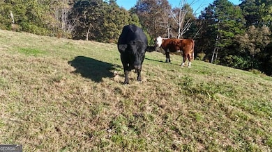 0 Porter Springs Rd unit 10648400, Dahlonega, GA 30533 - photo 5