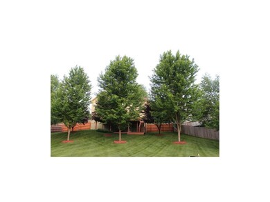 Backyard facing the home.