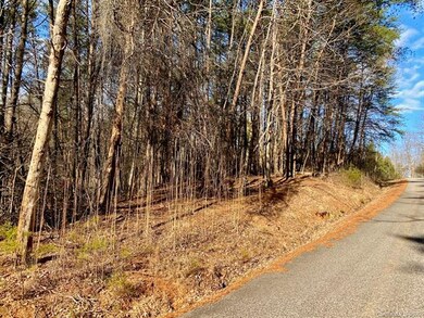 LOT 64 Wolf River Ln, Lake Lure, NC 28746 - photo 4