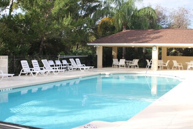 Community Pool 2