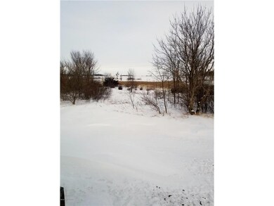 Back yard  View  From Patio Door