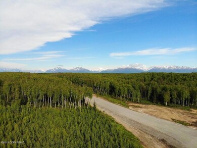 9966 W Aircraft Ct, Wasilla, AK 99623 - photo 3