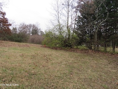 5506 Nickle Rd, Knoxville, TN 37921 - photo 3