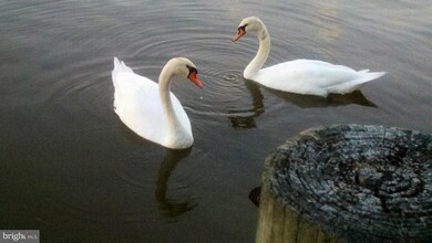 11740 Over Creek Ct, Swan Point, MD 20645 - photo 6