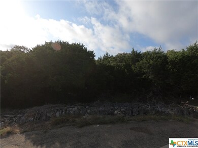 15717 Salado Dr, Temple, TX 76502 - photo 5