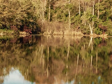 Full View of Lake