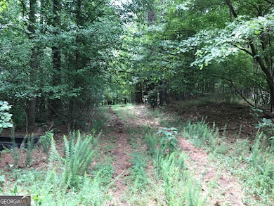 0 Moores Gin Rd unit 9693 10325272, Fairmount, GA 30139 - photo 2