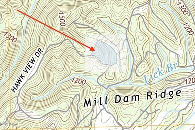 USGS TOPO MAP with Parcel