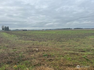 1420 Birch Bay Lynden Rd, Lynden, WA 98264 - photo 2