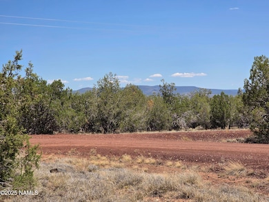 1804 N Frances Ln, Williams, AZ 86046 - photo 3