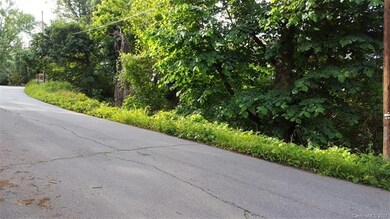 99999 Finalee Ave unit 2, Asheville, NC 28803 - photo 4