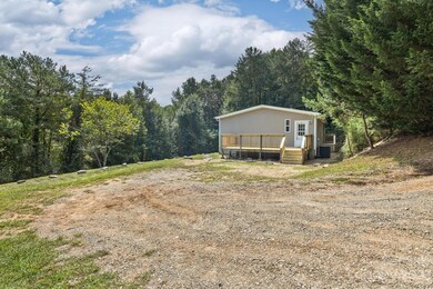 17 Ruff Rd, Leicester, NC 28748 - photo 3