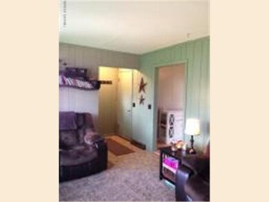 313 4th Ave NE, Glenwood, MN 56334 - photo 3