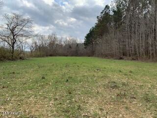 Food Plot Near Sandy Creek