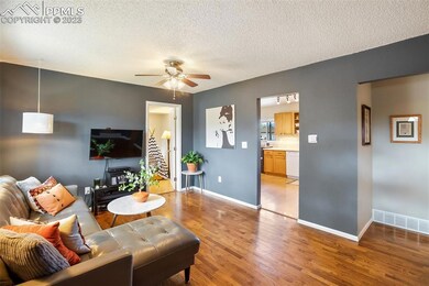 151 Hayes Dr, Colorado Springs, CO 80911 - photo 4