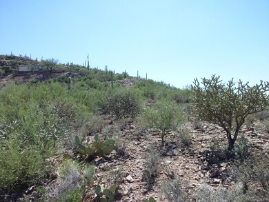 P1030145