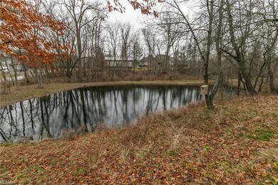 pond on property