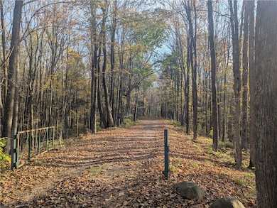 N7798 Flambeau Rd, Ladysmith, WI 54848 - photo 4