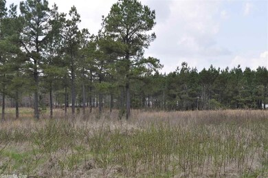 510 Saint Joseph's Dr, Alexander, AR 72002 - photo 2