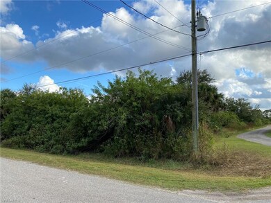 0 24th Ave NE unit 225082050, Naples, FL 34120 - photo 2