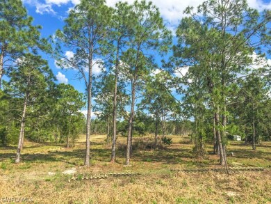 21051 Carter Rd, Estero, FL 33928 - photo 3