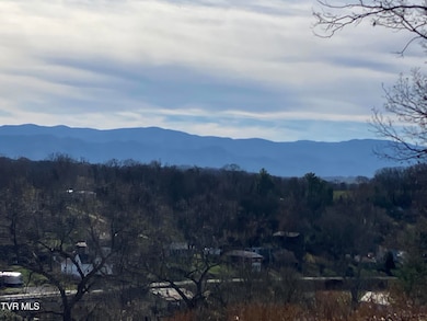 Tbd Methodist Ridge Rd, Telford, TN 37690 - photo 3