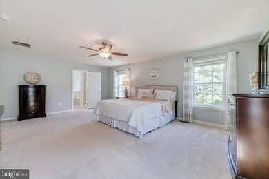 5021 Summer Solstice Place, Ellicott City, MD 21043 - photo 3