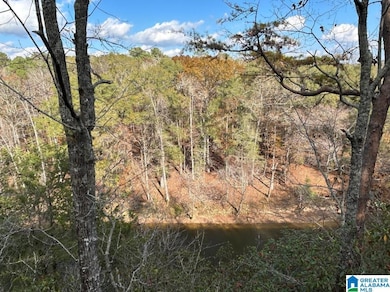 4.15 acres N Hagler Rd, Northport, AL 35475 - photo 2