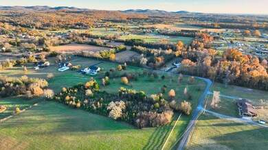 0 N Lovvorn Rd, Christiana, TN 37037 - photo 7